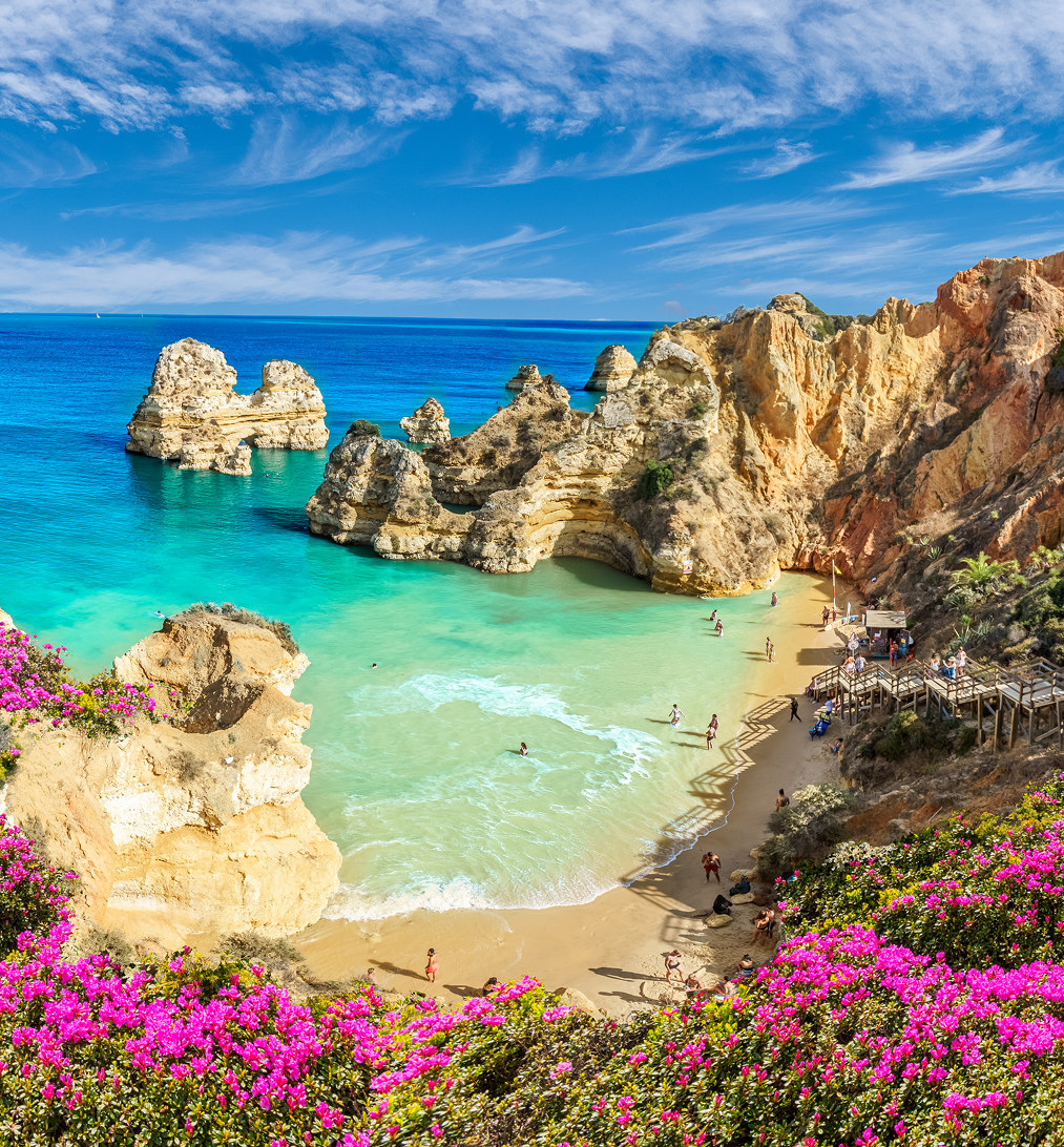 Cliffside beach with vibrant pink flowers